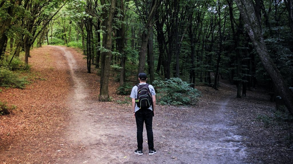 Framing decision making